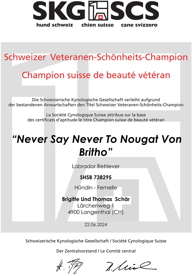 image-12584105-Nougat-Swiss_Titles-Swiss_Veteran_Beauty_Champion-1485580--aab32.w640.jpg